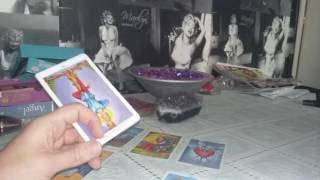 Midnight love tarot weekly reading cancer 14th Nov 20th