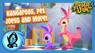 New Kangaroos, Joeys, and MORE! | Animal Jam September Update