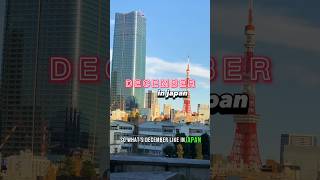 DECEMBER in JAPAN… what you should know