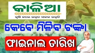 କେବେ ମିଳିବ କାଳିଆ ଟଙ୍କା || Kalia Yojana Instalment date 2024 #kalia #kaliascheme