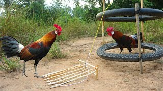 Primitive Technology : Human Make DIY Wild Chicken Using Tire Motorcycles  And Wood