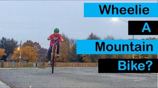 Learning How to Wheelie a Mountain Bike