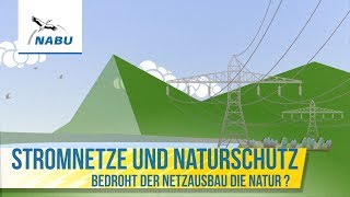 Naturverträglicher Ausbau unseres Stromnetzes - wie geht das?