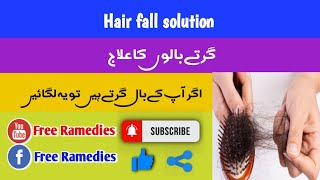 girty balon ka ilaj| hair fall solution| Free Ramedies