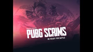 Pubg Late night scrim - controversy