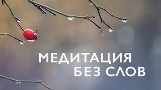 Медитация без слов 10 минут | Медитация музыка звуки природы  | Музыка для медитации