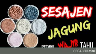 Sesajen (Pupuk) Jagung-Petani Wajib Tahu