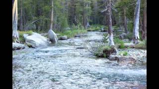 Richard Houghten / Hydrophone River Recording