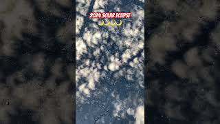 2024 Solar Eclipse Los Angeles California. The tree shadow acts like a pinhole viewer 🌙🌙🌙