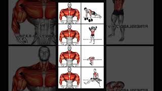 Wider Shoulders ( Upper Body) #music #phonk #beats #typebeat #motivation #gymphonk #phonkgym