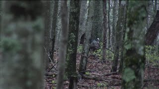 Virginia Turkey Hunt 2012