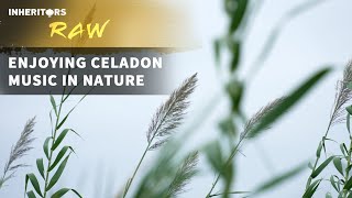 Enjoying Celadon Music in Nature