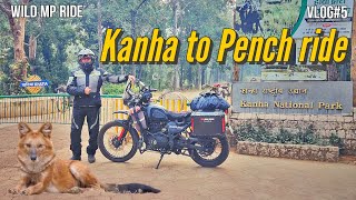 Kanha to Pench National Park ride | Evening safari at Turia | Wild MP ride Day-6 | Saw Wild Dogs