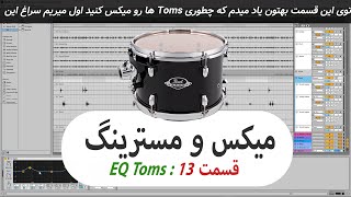 میکس و مسترینگ قسمت 13 :  EQ Toms, تامز