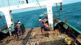 Trawl net operation 1