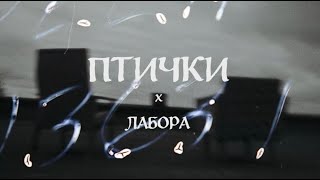 Лабора — Птички (backstage) 🦅