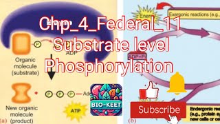 Chp_4_Federal_11| Substrate level Phosphorylation| How ATP is regenerated?| Why substrate loss Pi?