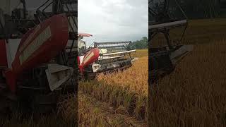 COMBINE HARVEST MACHINE(3)