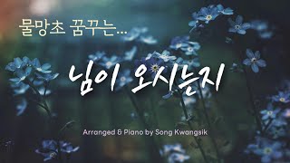 [Piano 1 hour] 님이 오시는지 (Is my love coming…) 피아노 편곡 연주