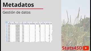 Gestión de datos: Metadatos