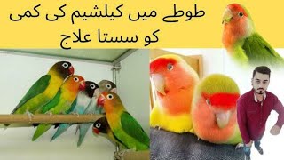 Total Mein Calcium Ki Kami Ka Sasta ilaj  || Adeel Sweet Birds || 🦜🦜🦜