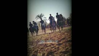 صابية خيل 🐎 رووعة 😍🐎 🔝 تيسير أبو سويرح 🔝❤