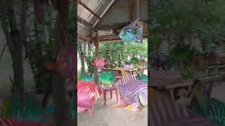 ត្រីក្តិបដូង នៅកំពត