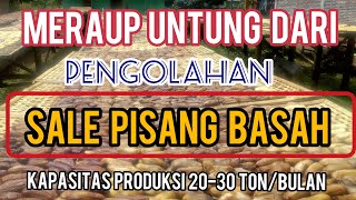 PEMBUATAN SALE PISANG BASAH || KAPASITAS PRODUKSI CAPAI 20-30 TON PER BULAN~Dunia Kita Official