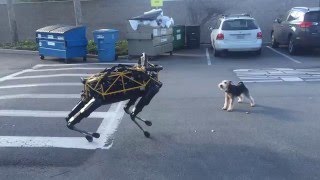 Fido vs Spot — Animal vs Robot