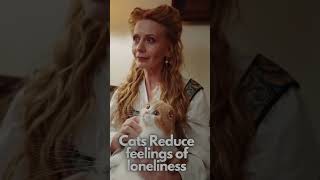 Cats Reduce feelings of loneliness #youtubeshorts