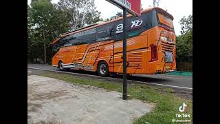 bis subur jaya rilis terbaru sr3 panorama orange