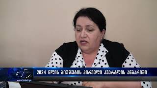 2024 წლის ბიუჯეტის პირველი კვარტლის ანგარიში