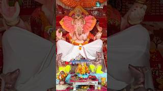 jay ganesha dewa 🙏🙏 | ganpati bappa morya 2023 | #shorts #ganpatibappa #ganpatibappastatus