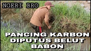 SENSASI MANCING BELUT BABON PEMATAH PANCING KARBON