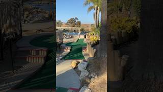 Best Mini golf hole in one! #minigolf #viral #shorts