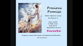 Precious Promise Karaoke, by Tiny Bruno