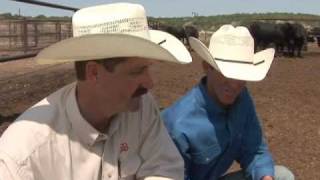 The Texas Beef Story: A Family Business