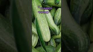 fruit split/#cucumber #pipino #fruit #funplay #shorts #youtubeshorts