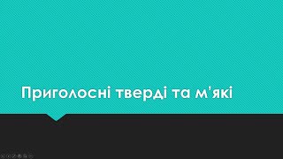 Готуємося до ЗНО. Приголосні тверді та м'які.