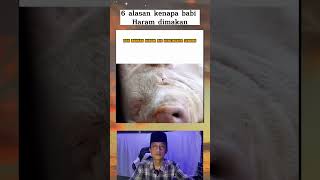 inilah 6 alasan kenapa babi haram dimakan #dakwahislam #islam #shorts #mediadakwah #dakwah #religi