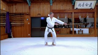 Айкидо Ивама Рю. Биомеханика. Джо цки. Aikido Iwama Ryu. Biomechanics. Jo tsuki.