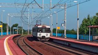 [4K] Pociągi Malbork Kałdowo 25.08.2024