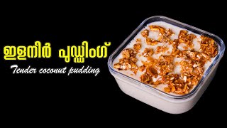 ഇളനീർ പുഡ്ഡിംഗ് | Tender Coconut Pudding | Malayalam food vlog | elaneer pudding | ilaneer dessert