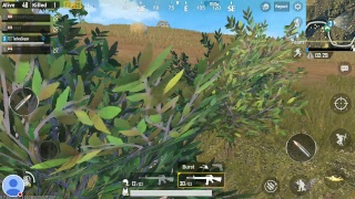 My PUBG MOBILE Stream