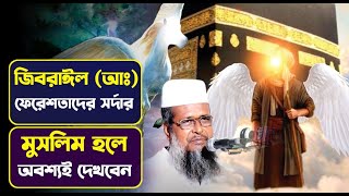 জিবরাঈল (আঃ) ফেরেশতাদর সর্দার এর অবাক করা ঘটনা । তোফাজ্জল হোসেন ভৈরবী । tofazzal hossain bhairovi |