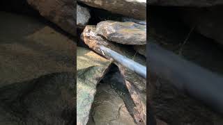 Applying foam to a waterfall #satisfying #waterfall #koi #fish #pond #relaxing #waterfeature #water