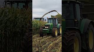 Claas Jaguar 960 Kiszonka z kukurydzy 2024 ! John Deere 6220 ! Engine Sound !