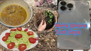 Mera IPhone Toot Gaya | اچانک سے مہمان آ گئے | Ajj Apny Kitchen Gardening ko Dekha | Beef Qorma