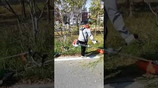 Husqvarna type brush cutter test. #tools #husqvarna #brushcutter