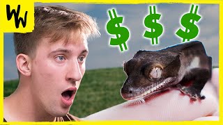 We Gave PetTubers Unlimited $$$ to Spend at a Reptile Show